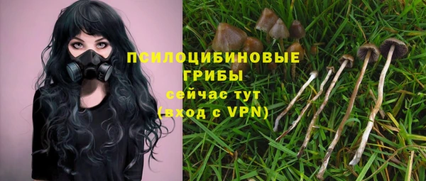 гашиш Абаза