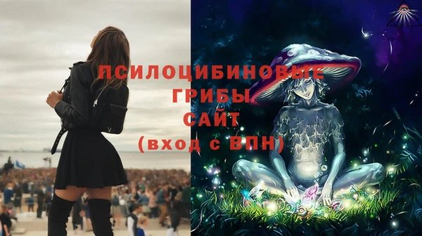 spice Дмитриев