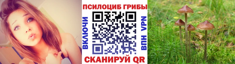 Псилоцибиновые грибы GOLDEN TEACHER  где можно купить   Янаул 