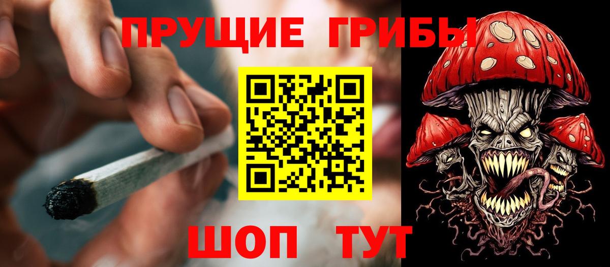 Псилоцибиновые грибы Cubensis Янаул